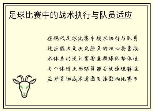 足球比赛中的战术执行与队员适应