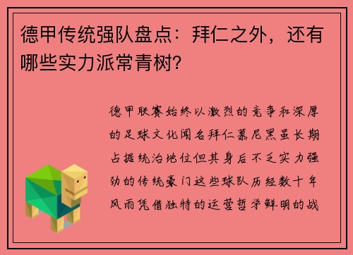 德甲传统强队盘点：拜仁之外，还有哪些实力派常青树？